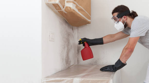 Professional Crawl Space Mold Removal technician working in Gambrills, MD