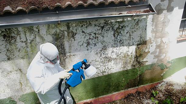Trusted Crawl Space Mold Removal service in Gambrills, MD - Cheap Mold Removal